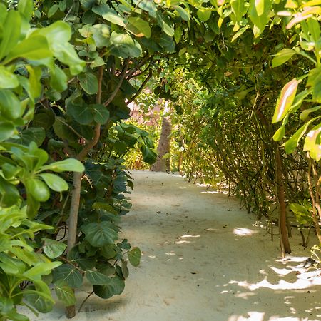 Tago Tulum By G Hotels Exterior photo